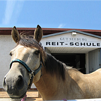 reiten22