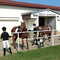 reiten24
