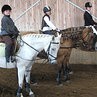 reiten27