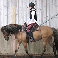 reiten36