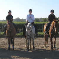 02 Pferde aus eigener Zucht